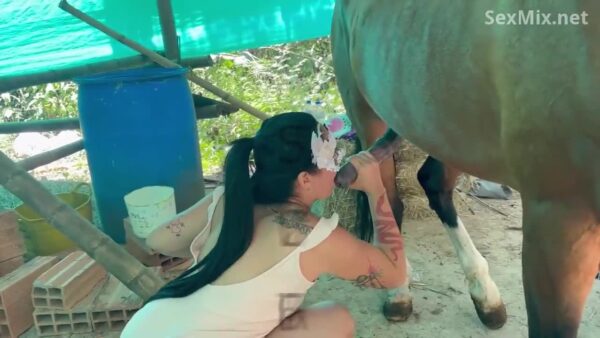 Animal sex with a horse, a dog, and a woman