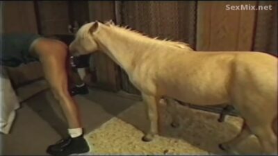 Sexo animal con un caballo: te follas a la chica.