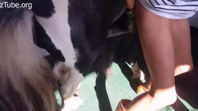 Amazing savage sex with clean sex
